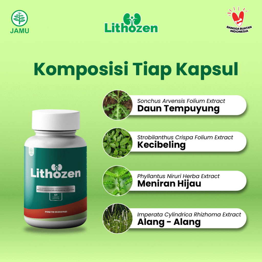 obat batu ginjal paling ampuh