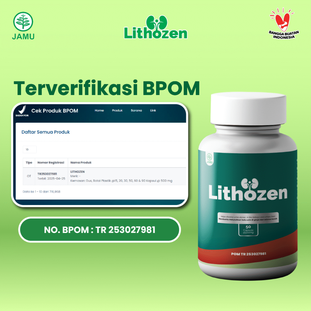 obat penghancur batu ginjal