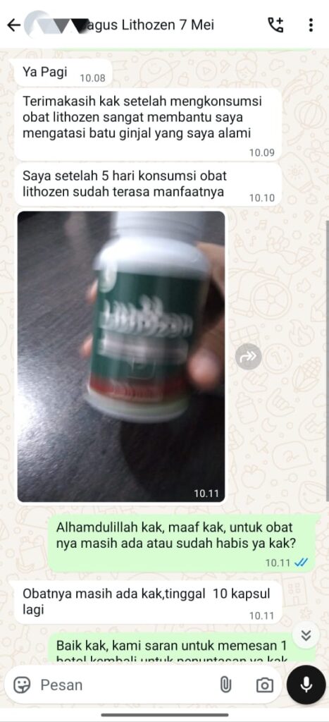 obat penghancur batu ginjal