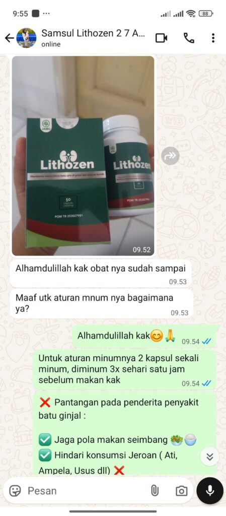 obat untujk batu ginjal